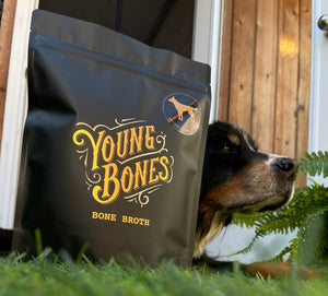 Grass-Fed Doggy Bone Broth